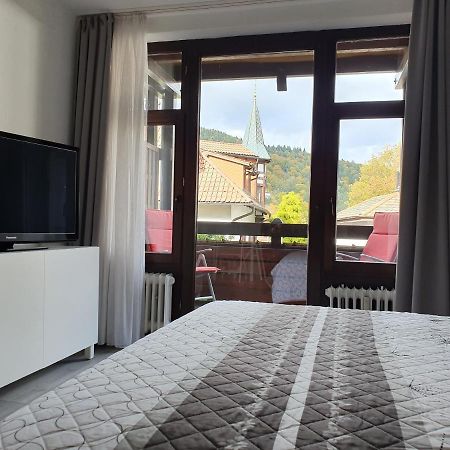 Gemuetliche Ferienwohnung Am Kurpark In باد هيرنالب المظهر الخارجي الصورة