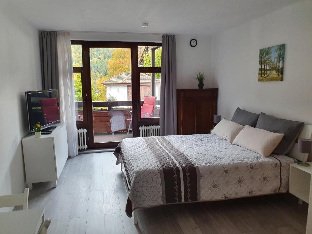 Gemuetliche Ferienwohnung Am Kurpark In باد هيرنالب المظهر الخارجي الصورة
